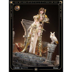 SET-DAMTOYS-FSDE-01B