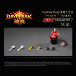 ACC-PX-DR02