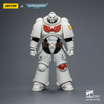 SET-JOYTOY-JT03882
