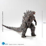 SET-HIYA-EBG0076