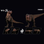 SET-BXNG-170196