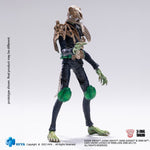 SET-HIYA-SLPG