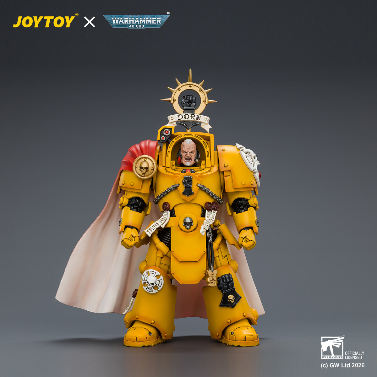 SET-JOYTOY-JT04896